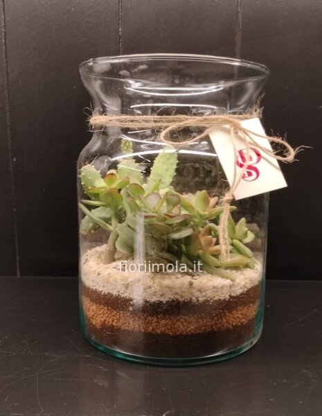 Terrarium in vetro con piante grasse  miste