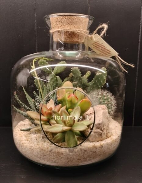 Terrarium in vetro con piante grasse miste